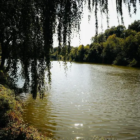 In Charming Village, With Private Pool بيت للعطل Vouvant